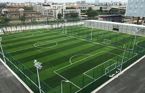 Sport artificial grass series